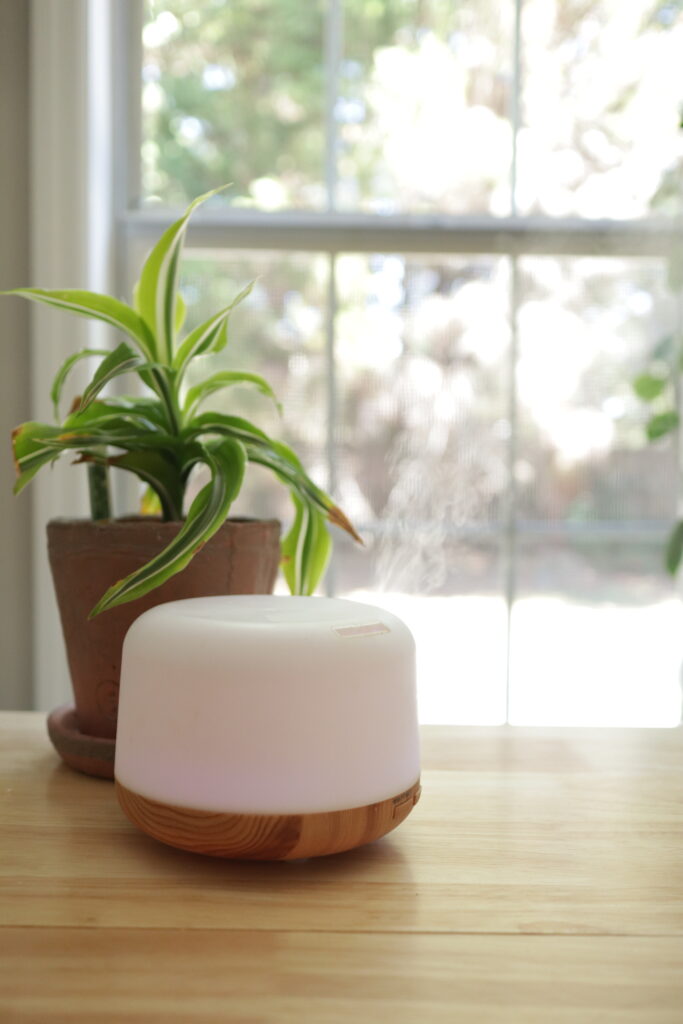 essential oil diffuser with a plant